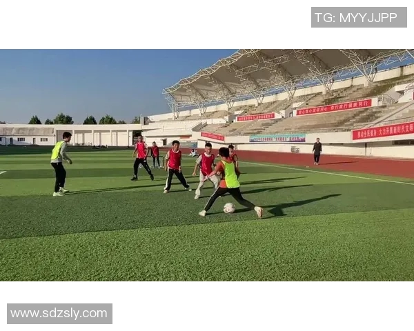 在校园绿茵场上挥洒汗水与梦想的足球之旅